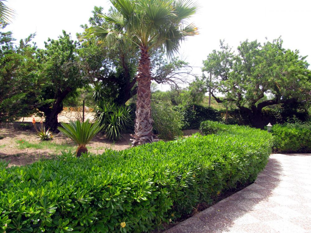 Villetta Century - Parte esterna della casa in campagna a Chiaramonte Gulfi