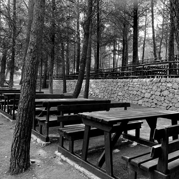 Chiaramonte Gulfi - Pineta